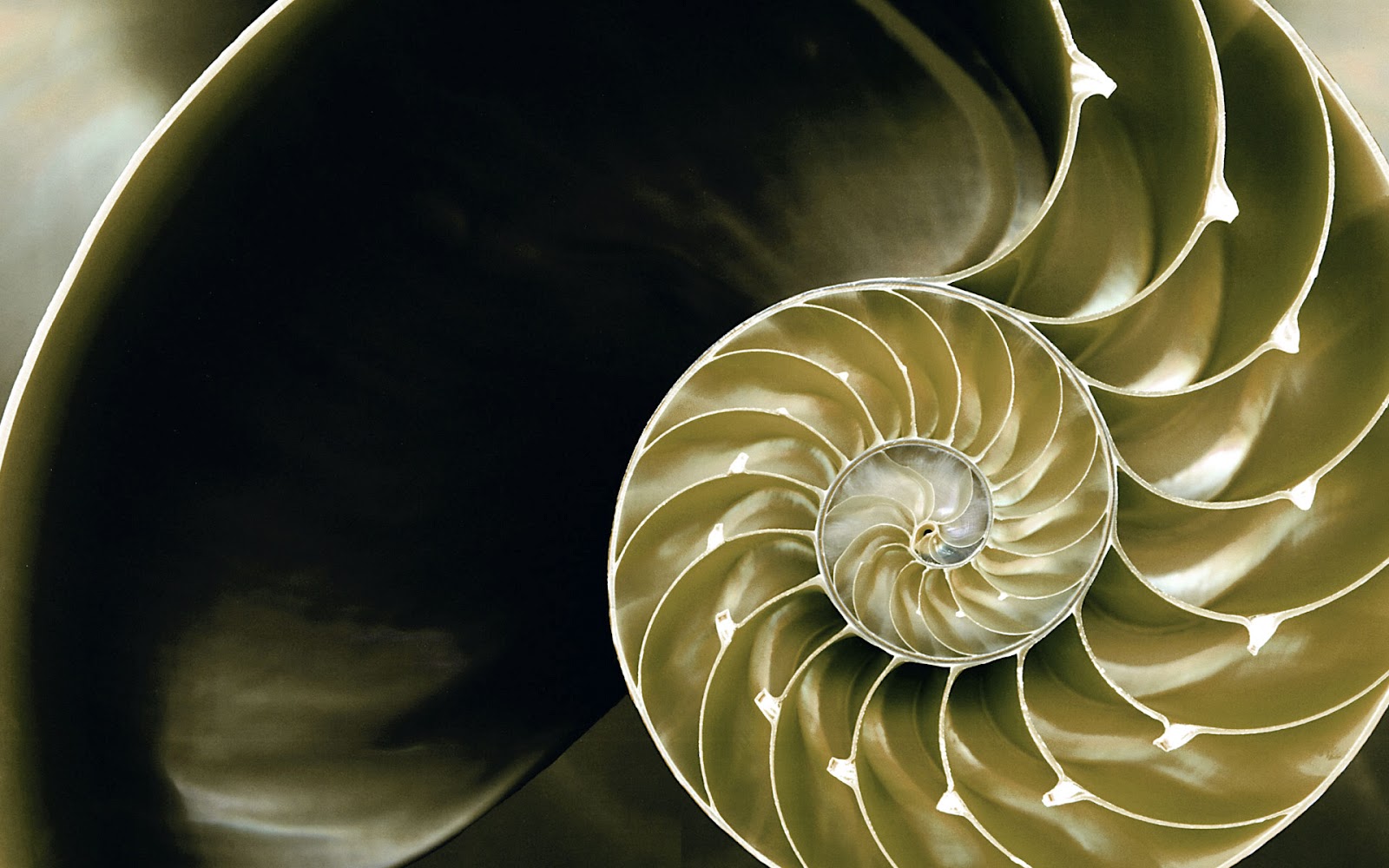 [DOWNLOAD] Free Official Windows 8 Wallpapers - Refresh It