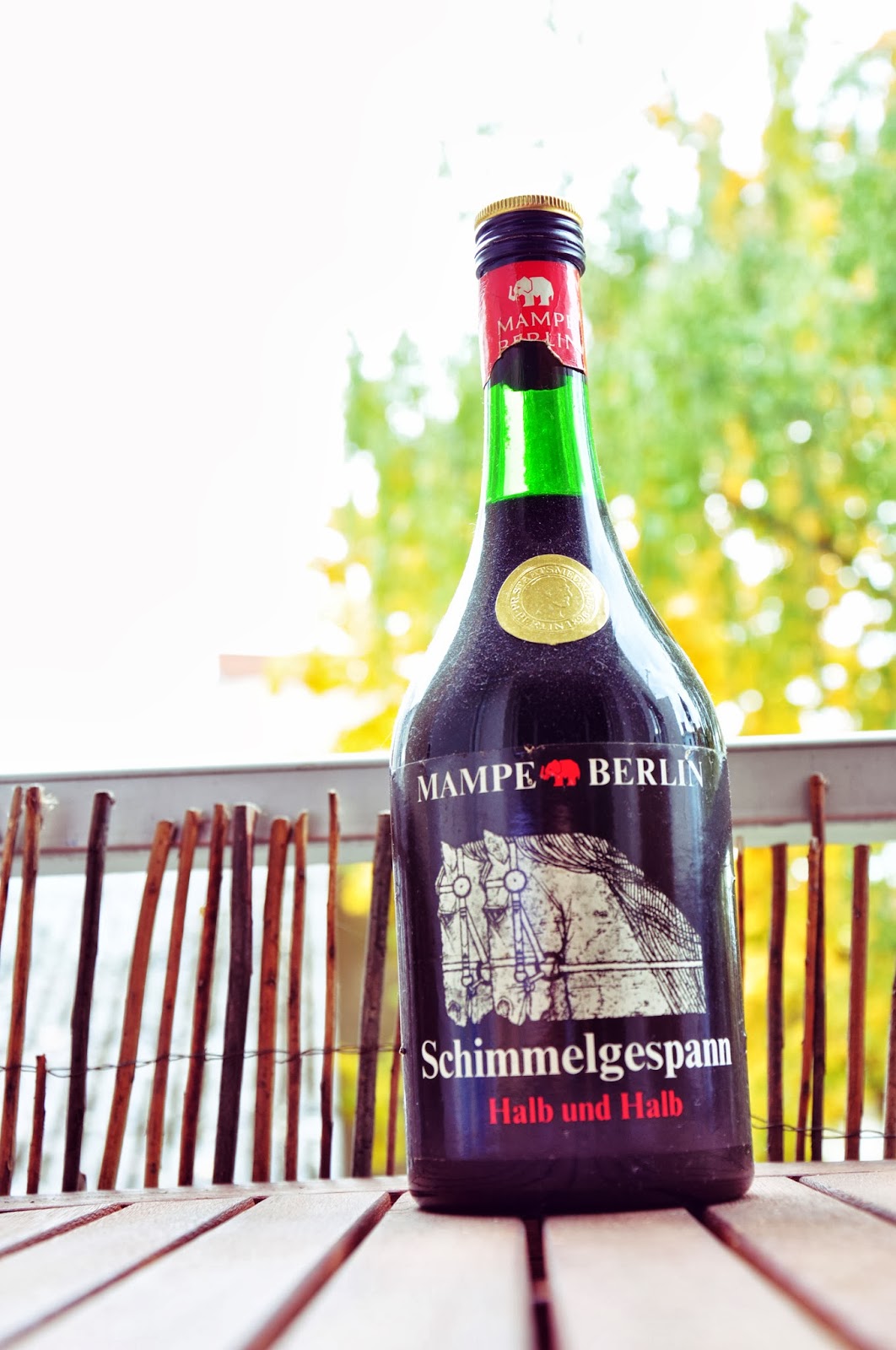 Jucheer Testet Ficken