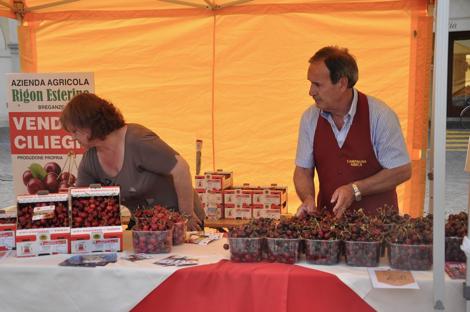 Farmers with their cherries ready for sale, Cherry Show Market, Marostica, Veneto, Italy
