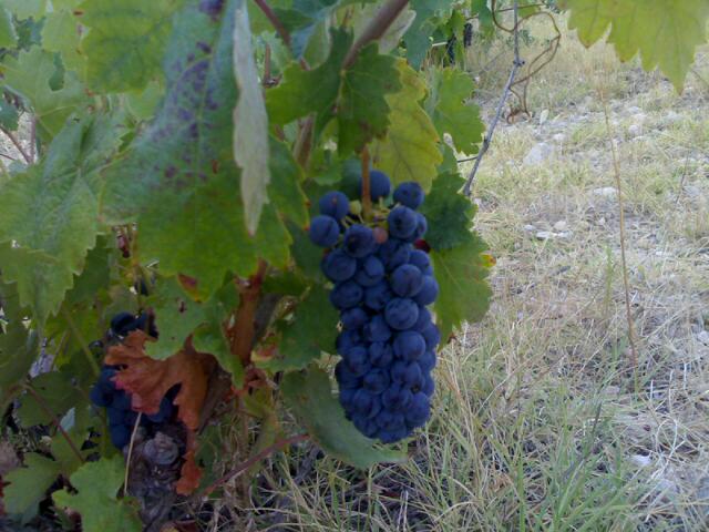 не могу ничего скачать на андроид