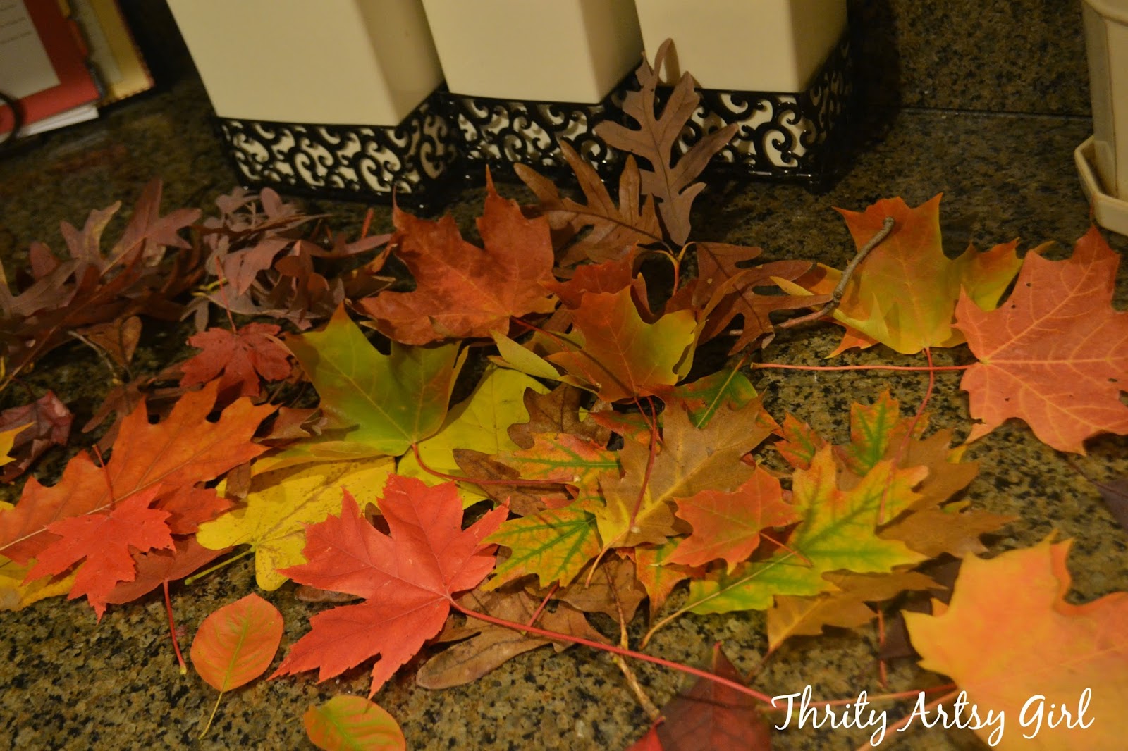 Thrifty Artsy Girl How to Easily Preserve Fall Leaves with Wax Paper