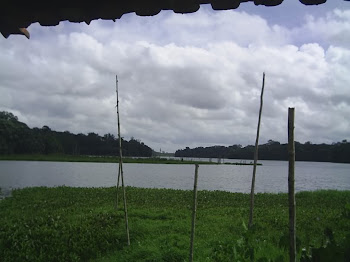 Parque Ambiental do Utinga