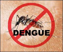 Dengue.Fever