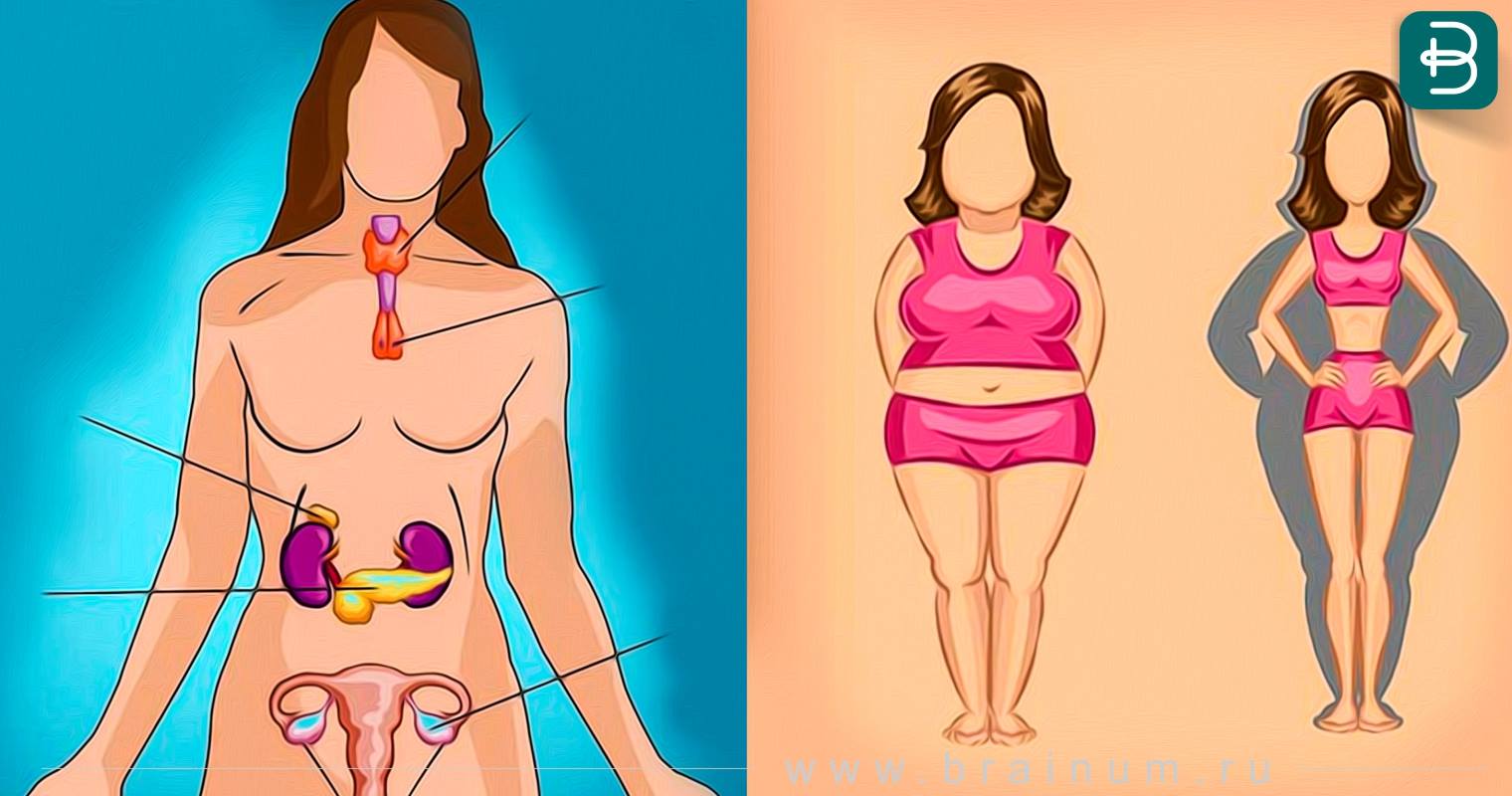 Влияние Лишнего Веса На Организм Женщины