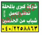 وظائف جريدة الوسيط الدلتا الجمعة 18/10/2013, وظائف خالية مصر اليوم 18 اكتوبر 2013 وظائف جريدة الوسيط الدلتا الجمعة 18/10/2013, وظائف خالية مصر اليوم 18 اكتوبر 2013
