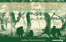 Protetores da Floresta