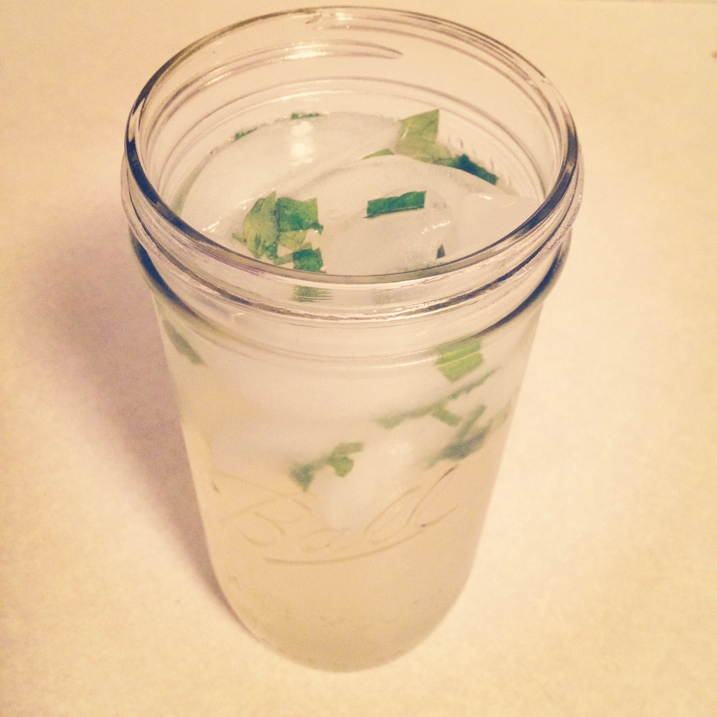 Minted Meyer Lemonade