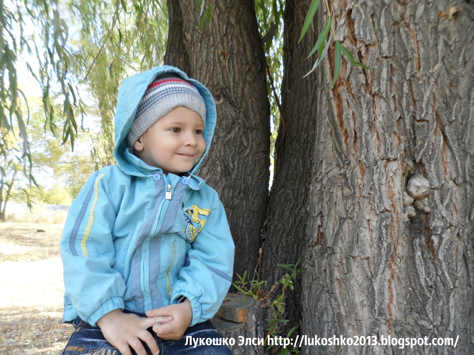 На пенечке под ивой!