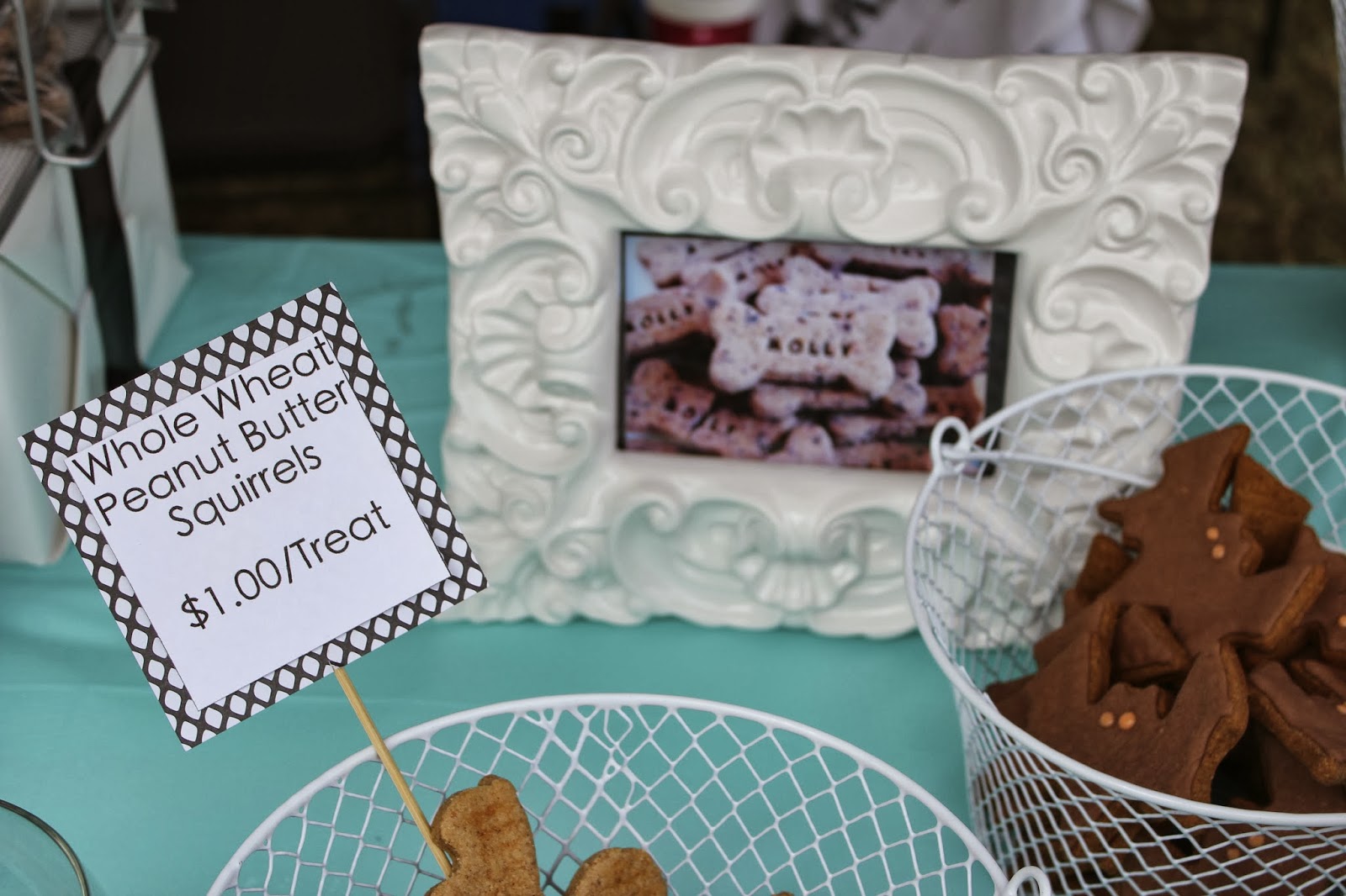 My Dog Treat Vendor Display Treat Dreams...are made of this