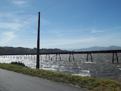 sul do estado de Santa Catarina.