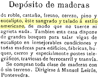 eucaliptos - Más eucaliptos,  más   coníferas. Consecuencias de la sed de beneficio$ en la húmeda Galicia. El sector forestal. 1901_Anuncio+almacen+madeiras+Leir%25C3%25B3s+%2528Pontevedra%2529+con+eucaliptos