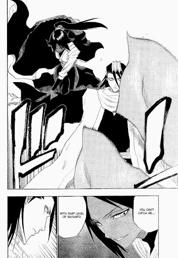 Byakuya And Yoruichi