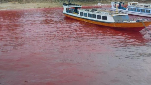 Air Laut Mendadak Berubah Warna Jadi Merah