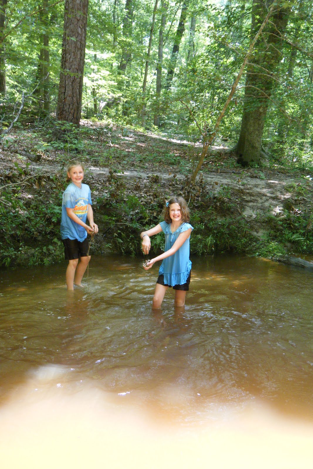 Five Dows Wading in the Creek