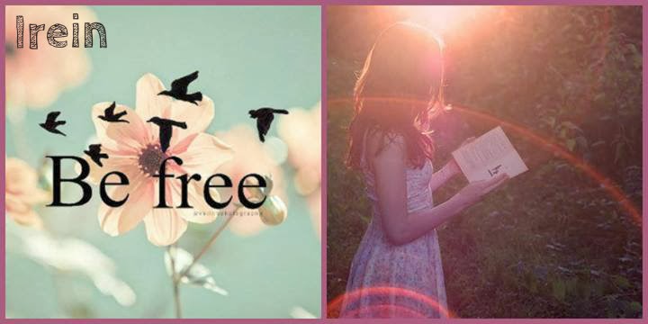 Ireinbooks