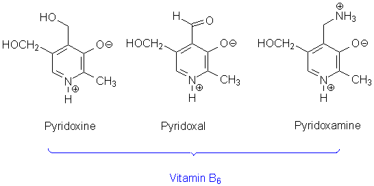 vitamin b6 vorkommen