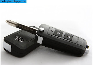 Kia sportage car 2013 key - صور مفاتيح سيارة كيا سبورتاج 2013 Kia sportage car 2013 key - صور مفاتيح سيارة كيا سبورتاج 2013