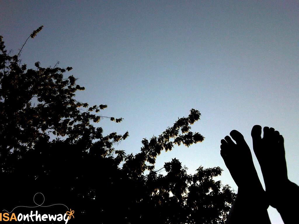 Oilfield Services Halliburton