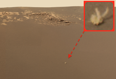 UFO NASA NASA Discovers Life On Mars In The Form Of A Rabbit, UFO Sighting News