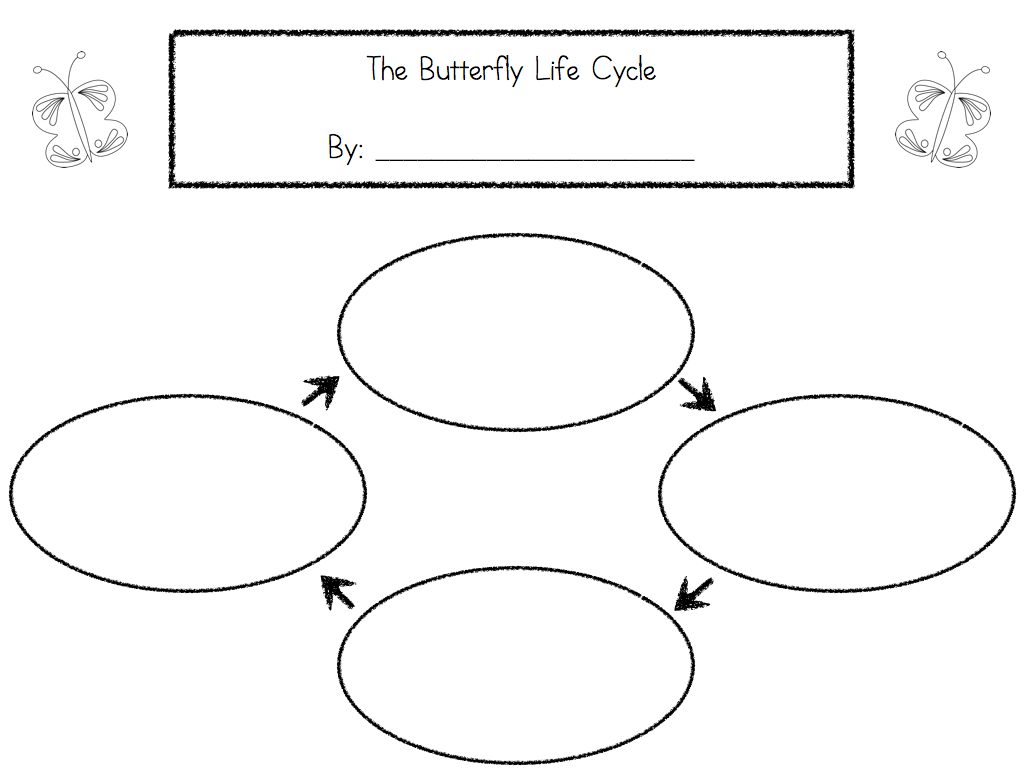 life cycle template