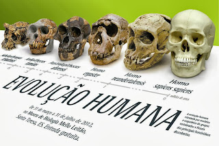Evolução da espécie humana Evolução da espécie humana
