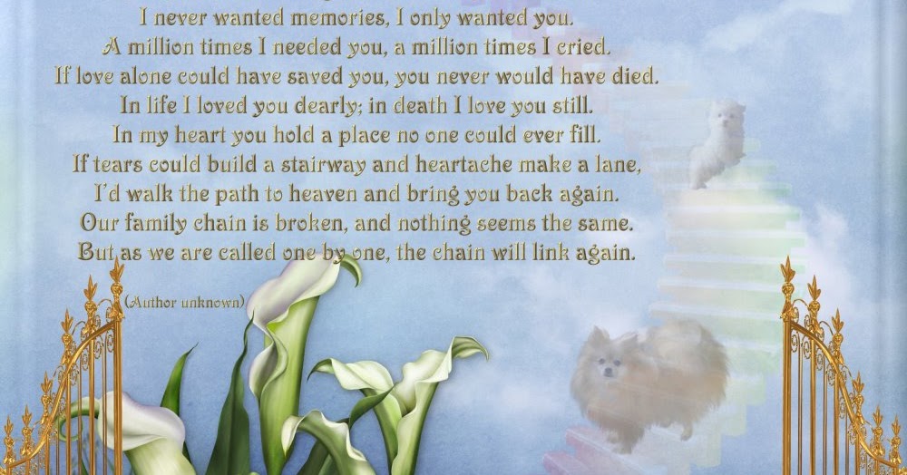 Hundegedichte &amp; mehr / Dog poems &amp; more They say memories are golden (2)