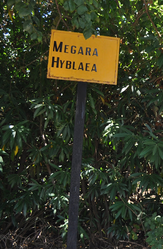 Megara Hyblaea