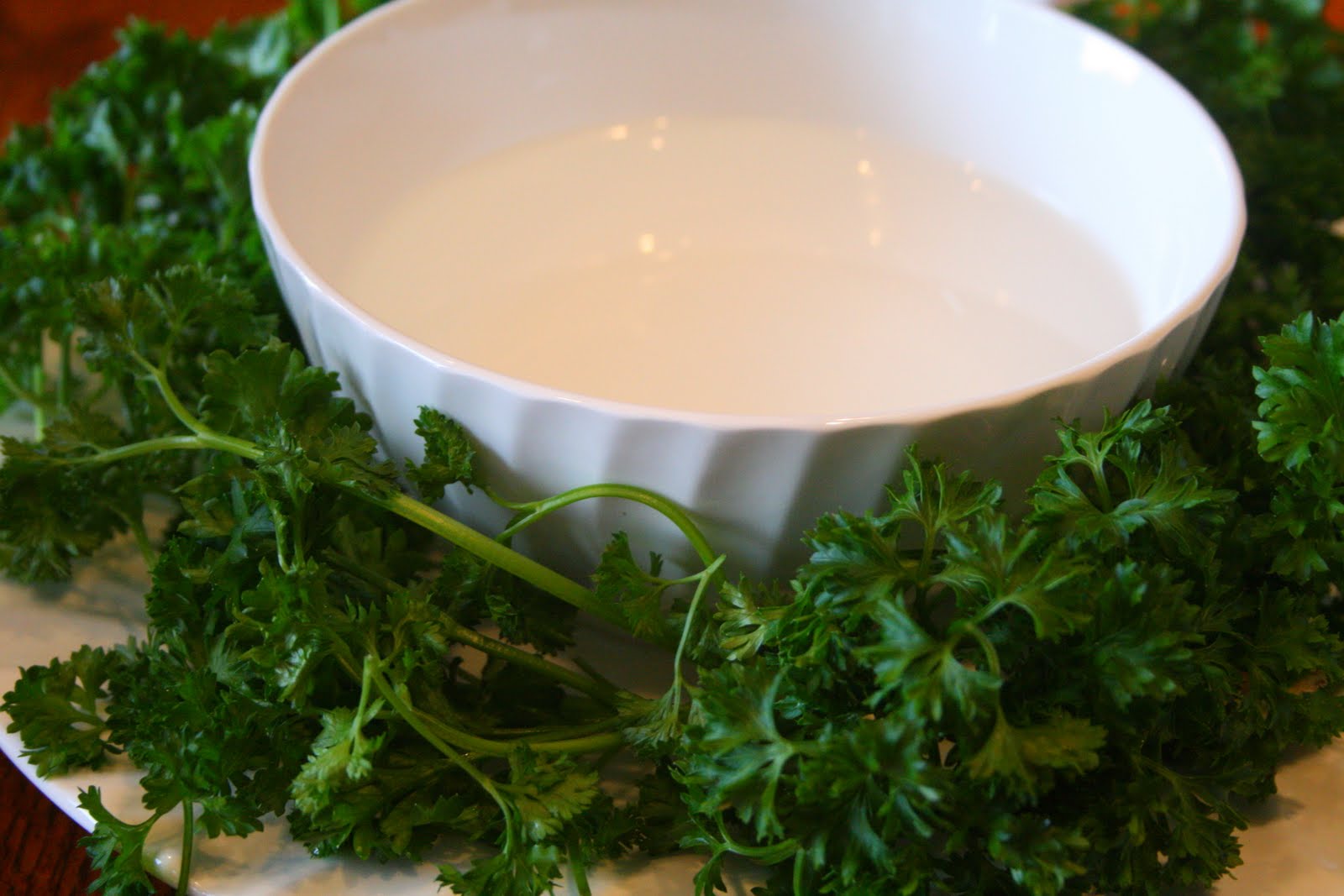 Memoirs for my children Passover