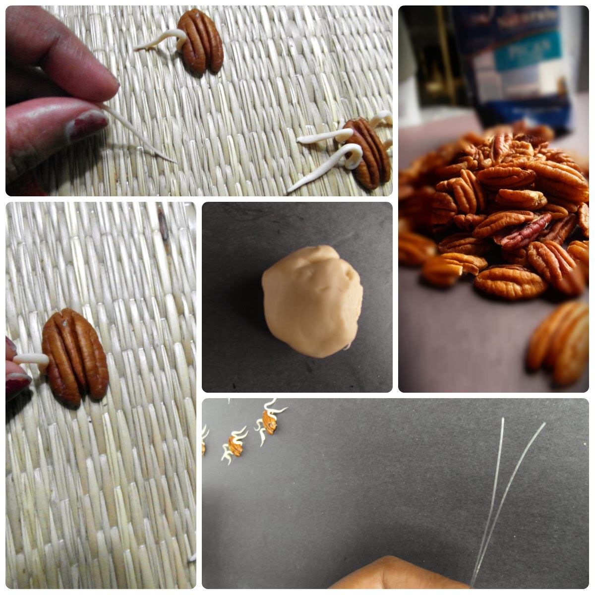 Trick or treat My Pecan buggy freaks Quick Halloween snack