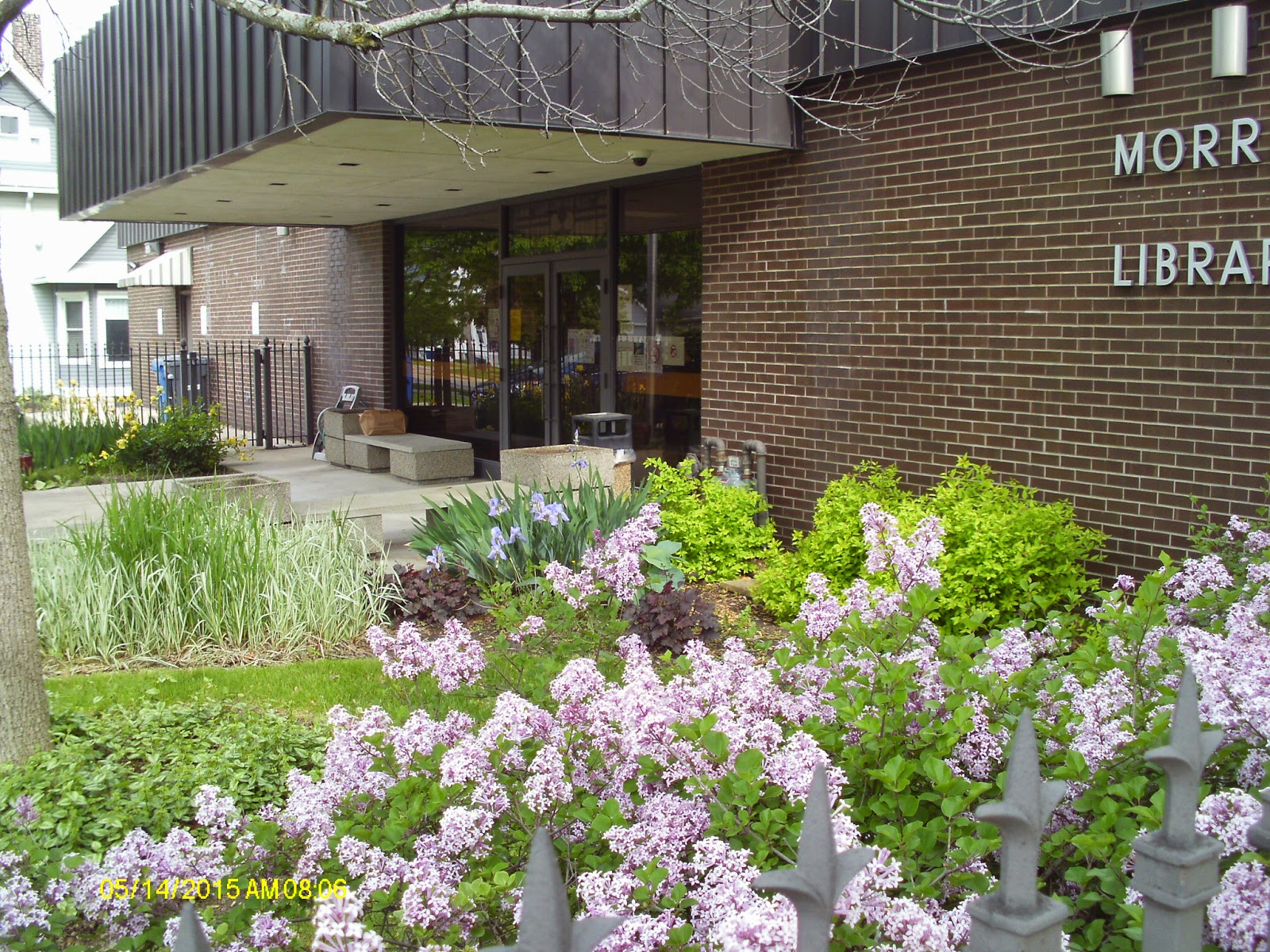 Every Library I Can 321 Morris Area Public Library, Morris IL