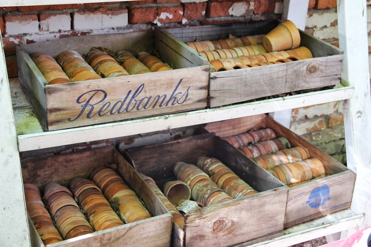 Henhurst Let Me Introduce You Jocie Sinauer and Red Chair on Warren