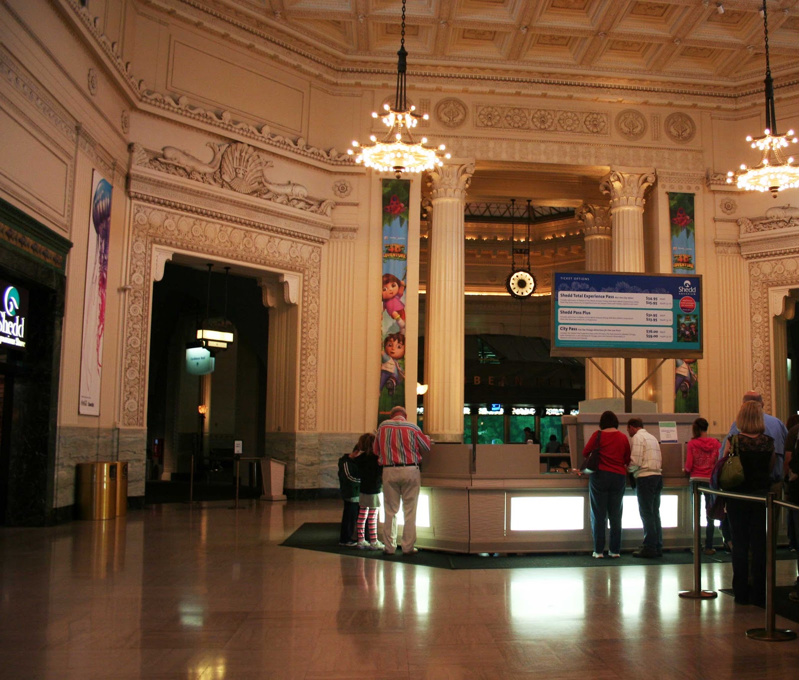 Voglio il mondo a colori Chicago, The Shedd Aquarium