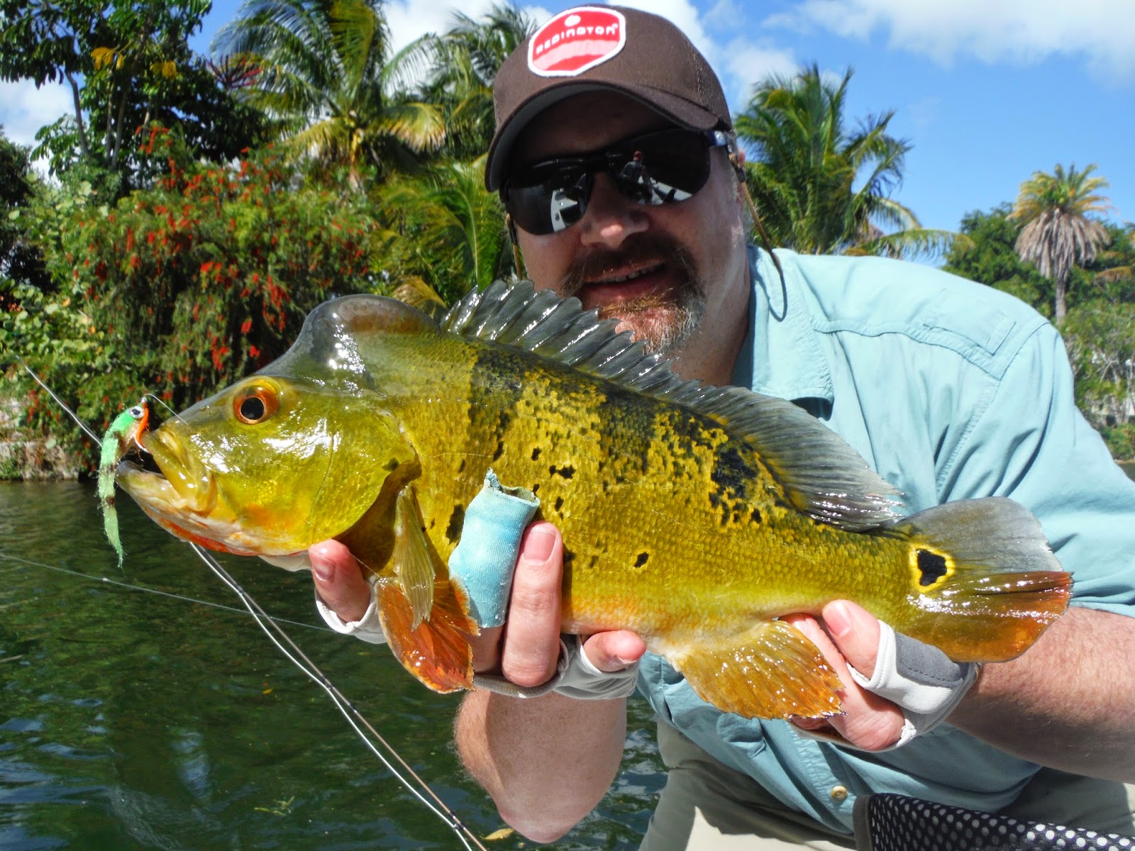 fly-fishing-the-west-with-howard-fly-fishing-for-peacock-bass-in-florida