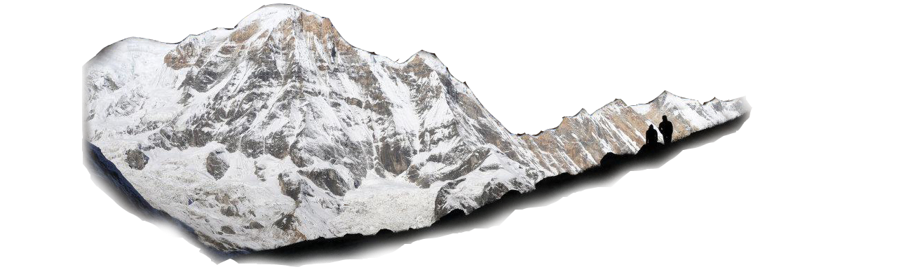 DISPATCHES FROM THE TRAIL