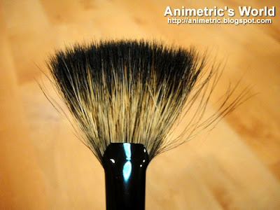 Fan Brush from Charm Pro Makeup Brush Set