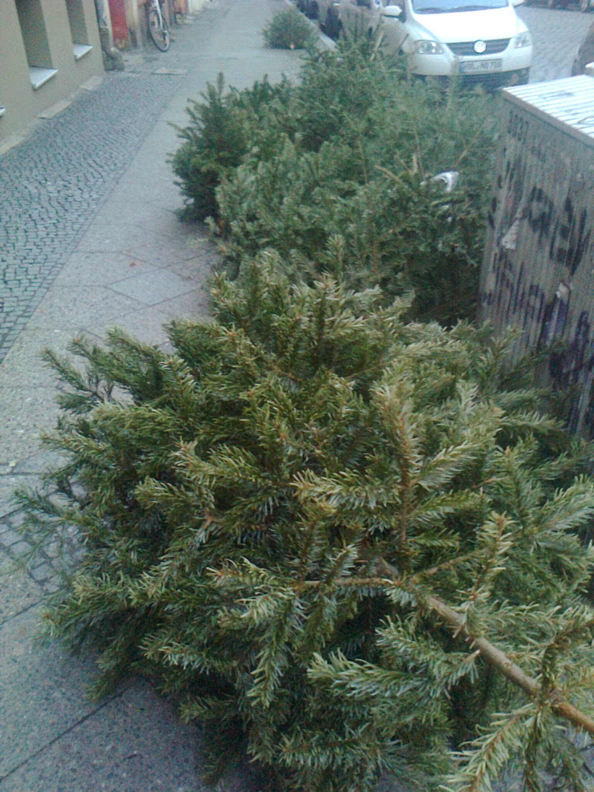 entsorgte Weihnachtsbaeume, Kreuzberg, 2015 Schenkendorfstrasse Tannenbaeume mit Hundescheisse