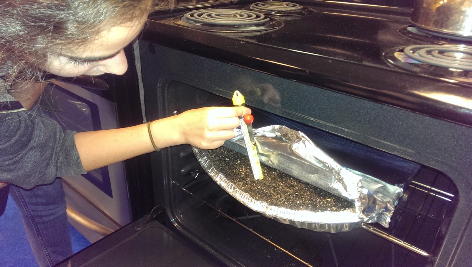 Garden. Table. Community. Sanitize Potting Soil for Reuse