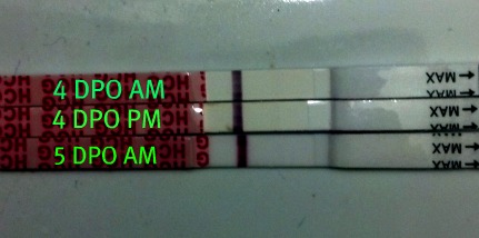 5-dpo-hot-flashes