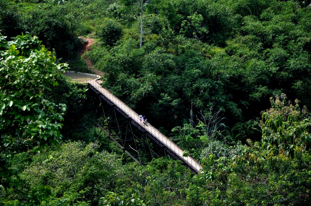 MANFAAT TANAMAN DALAM HUTAN KOTA ~ Prapatan SPS