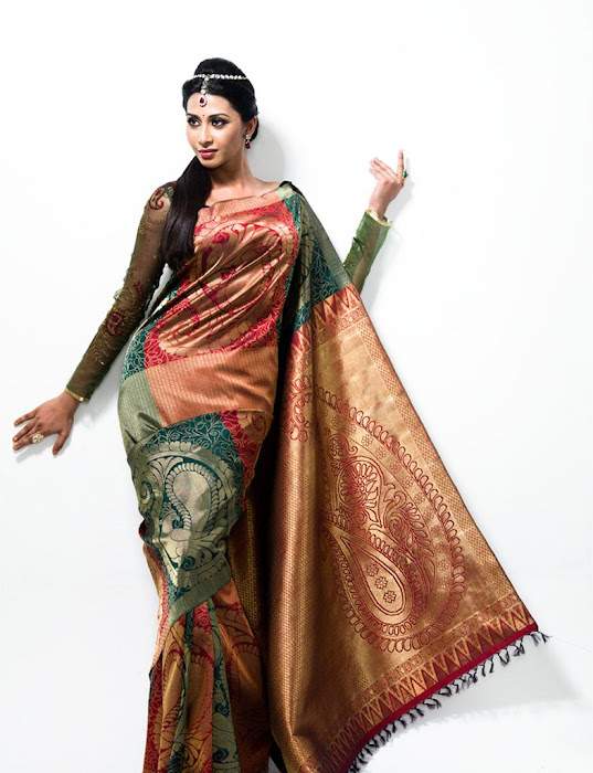 gayathiri wonderful saree ad collections 2012