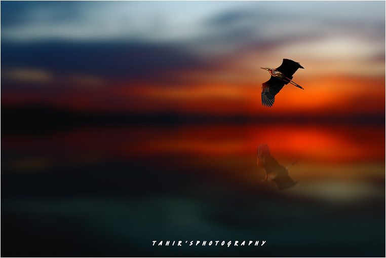 Emerging Photographers, Best Photo of the Day in Emphoka by Tahir Abbas Emerging Photographers, Best Photo of the Day in Emphoka by Tahir Abbas