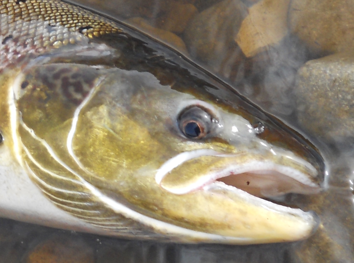 Just One Week Here's Looking at You