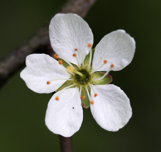 Zeit Kunst No St Polten Museum Niederosterreich