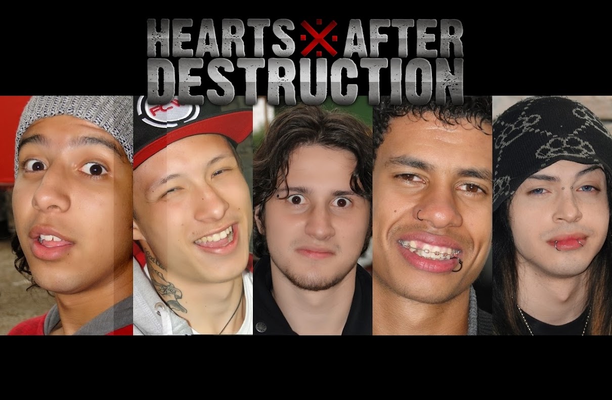 HEARTS AFTER DESTRUCTION | 2014