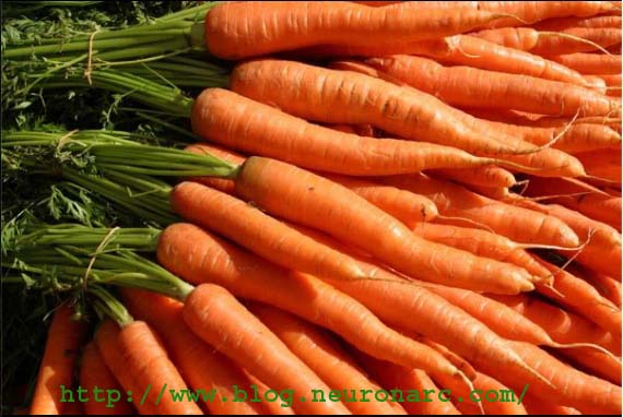 Carrots nutritional benefits image16+copy Carrots nutritional benefits