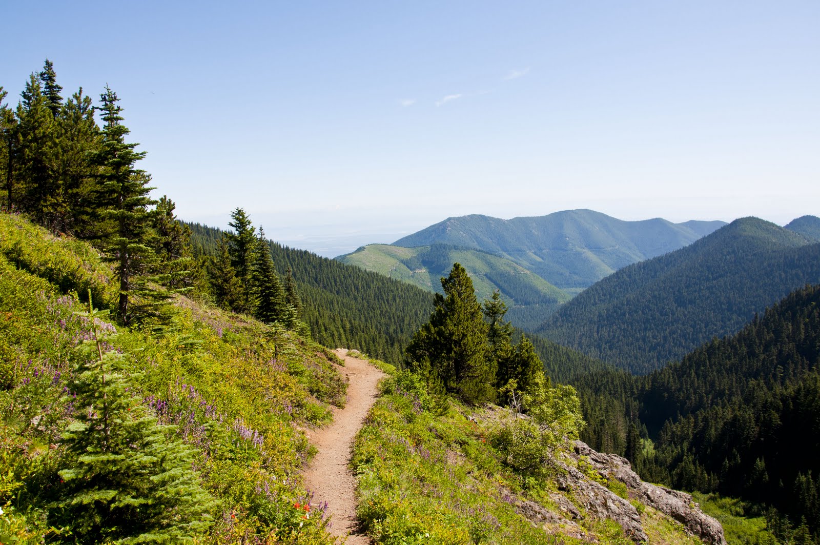 Rootandblossom Hike Review Mount Townsend
