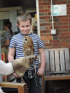 pet owl in coal echange pub emsworth