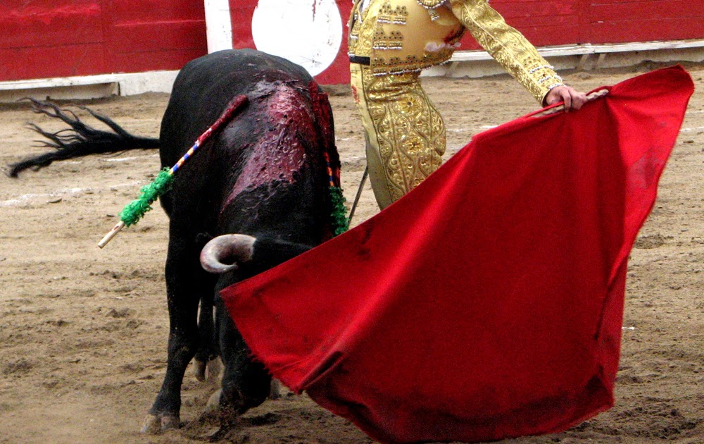 Dennis Castillo Representante de Toreros "Torero con duende