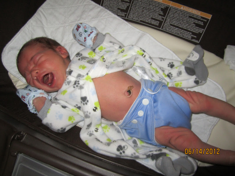 charlie banana newborn cloth diapers