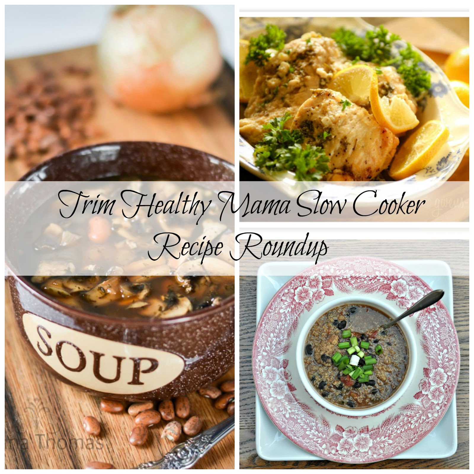 Trim Healthy Mama Slow Cooker Recipe Roundup Darcie's Dish